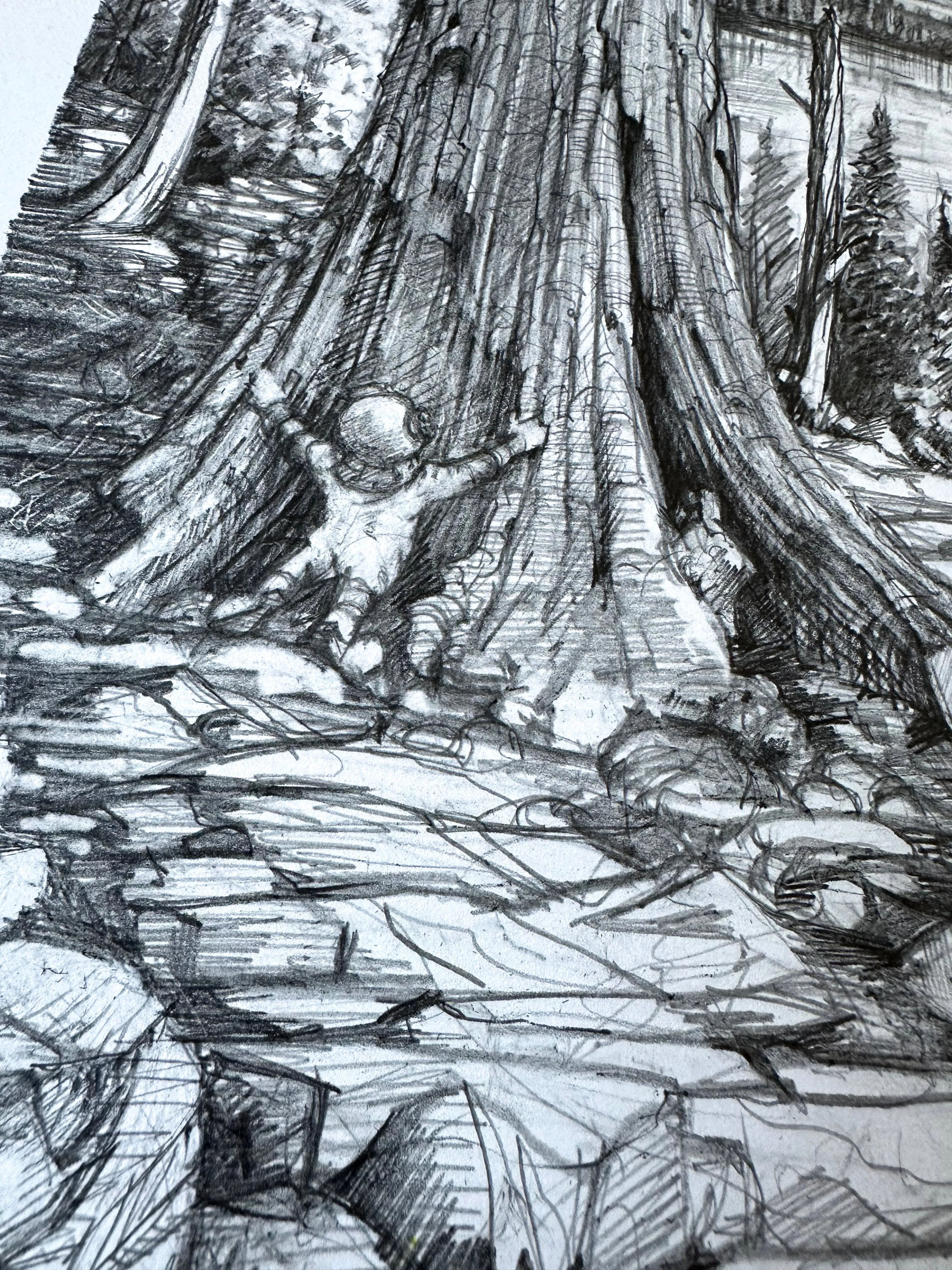 AJ Masthay "Sequoia" Graphite Drawing - OG